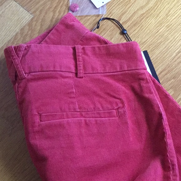 Corduroy pants - Picture 4 of 4